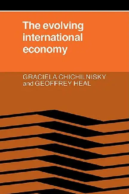 The Evolving International Economy by Graciela Chichilnisky, Chichilnisky, Geoffrey Heal