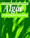 Algae: An Introduction to Phycology by Christian Van Den Hoek