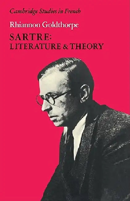Sartre: Literature and Theory by Rhiannon Goldthorpe, Michael Sheringham