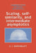 Scaling, Self-Similarity, and Intermediate Asymptotics: Dimensional Analysis and Intermediate Asymptotics by G. I. Barenblatt, Grigory Isaakovich Barenblatt, Barenblatt Grigory Isaakovich
