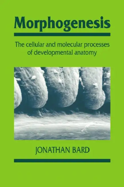 Morphogenesis: The Cellular and Molecular Processes of Developmental Anatomy by Jonathan B. L. Bard, Bard Jonathan