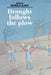 Drought Follows the Plow: Cultivating Marginal Areas by Michael H. Glantz, Michael H. Glantz