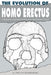 The Evolution Of Homo Erectus: Comparative Anatomical Studies Of An Extinct Human Species by G. Philip Rightmire