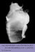 The Anatomy and Physiology of the Mammalian Larynx by D. F. N. Harrison, Harrison