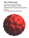 The Fullerenes: New Horizons for the Chemistry, Physics and Astrophysics of Carbon by H. W. Kroto, D. R. Walton, Harold W. Kroto