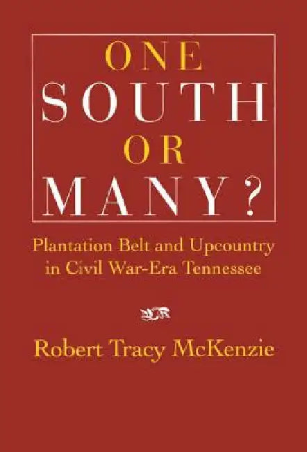 One South or Many? by Robert Tracy McKenzie