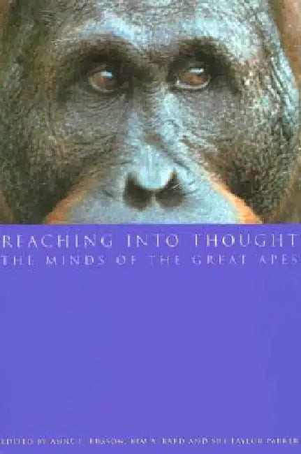 Reaching into Thought by Anne E. Russon, Kim A. Bard, Sue Taylor Parker