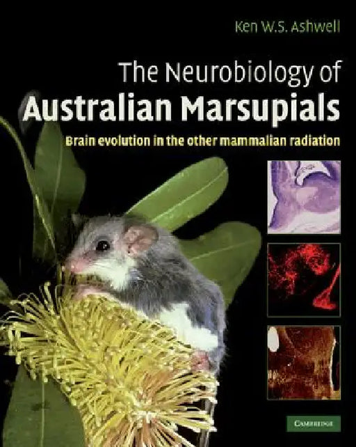 The Neurobiology of Australian Marsupials: Brain Evolution in the Other Mammalian Radiation by Ken Ashwell