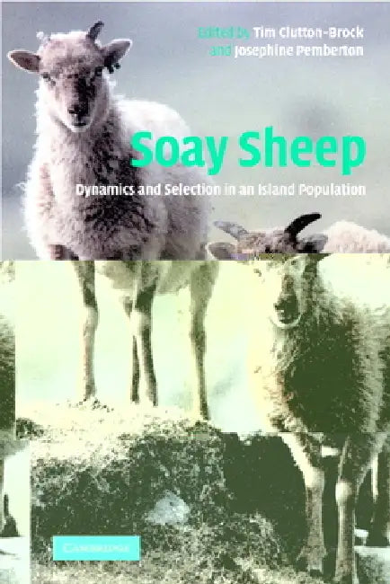 Soay Sheep by T. H. Clutton-Brock, J. M. Pemberton