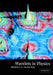 Wavelets in Physics by J. C. Van Den Berg, J. C. Van Den Berg