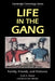 Life in the Gang: Family, Friends, and Violence by Steve Decker, Scott Decker, Barrik Van Winkle