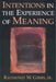Intentions in the Experience of Meaning by Jr. Gibbs Raymond W.