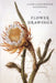 Flower Drawings by David Scrase, Andrew Morris