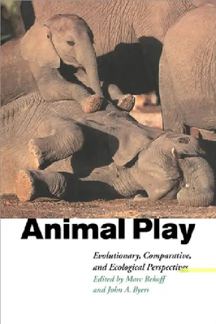 Animal Play: Evolutionary, Comparative and Ecological Perspectives by Bekoff