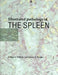 Illustrated Pathology of the Spleen by Bridget S. Wilkins, Dennis H. Wright