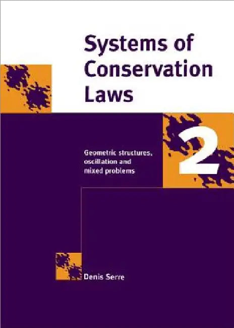Systems of Conservation Laws 2 by Denis Serre
