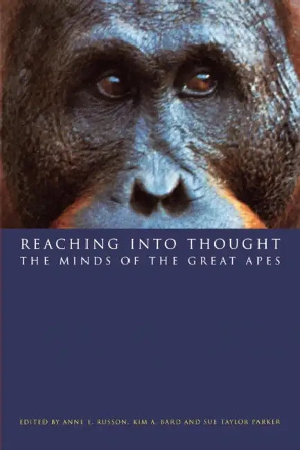 Reaching into Thought by Anne E. Russon, Kim A. Bard, Sue Taylor Parker