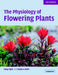 The Physiology of Flowering Plants by Helgi Opik, Stephen Rolfe, Helgi Pik