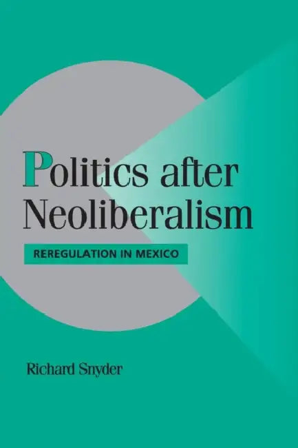 Politics after Neoliberalism by Richard Snyder