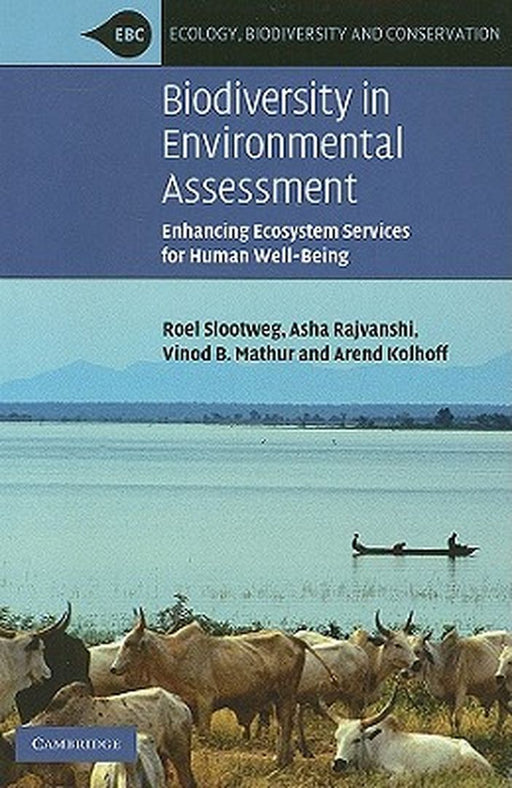 Biodiversity In Environmental Assessment: Enhancing Ecosystem Services for Human Well-Being by Roel Slootweg