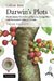 Darwin's Plots: Evolutionary Narrative in Darwin, George Eliot and Nineteenth-Century Fiction by Gillian Beer