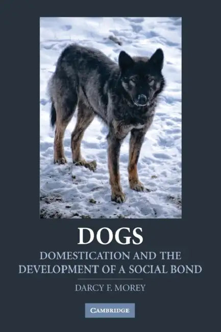 Dogs by Darcy Morey