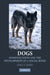 Dogs by Darcy Morey