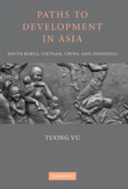 Paths to Development in Asia: South Korea, Vietnam, China, and Indonesia by Tuong Vu