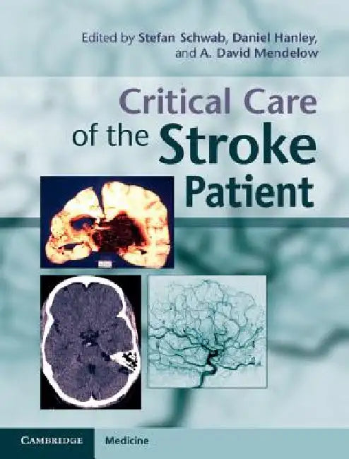 Critical Care of the Stroke Patient by Stefan Schwab, Daniel Hanley, A. David Mendelow