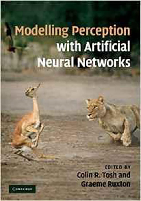 Modelling Perception With Artificial Neural Networks