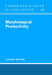 Morphological Productivity by Laurie Bauer, Bauer Laurie, S. R. Anderson