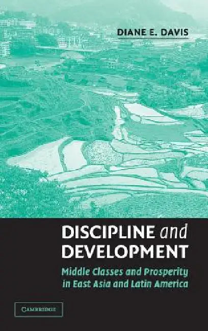 Discipline and Development by Diane E. Davis