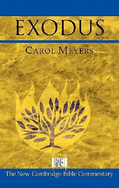 Exodus by Carol L. Meyers, III Witherington Ben, Bill T. Arnold