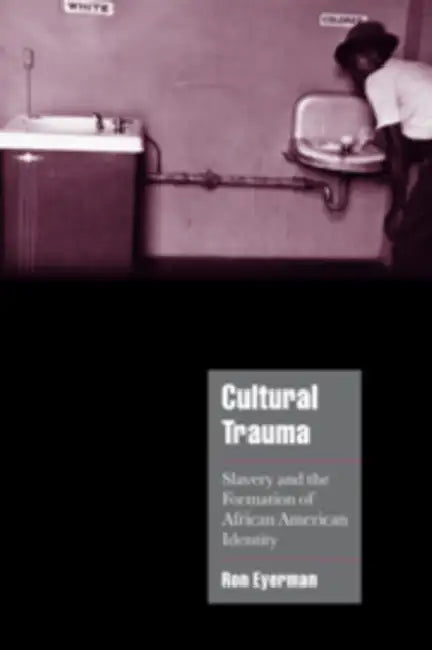 Cultural Trauma: Slavery and the Formation of African American Identity by Ron Eyerman