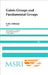 Galois Groups and Fundamental Groups by Leila Schneps