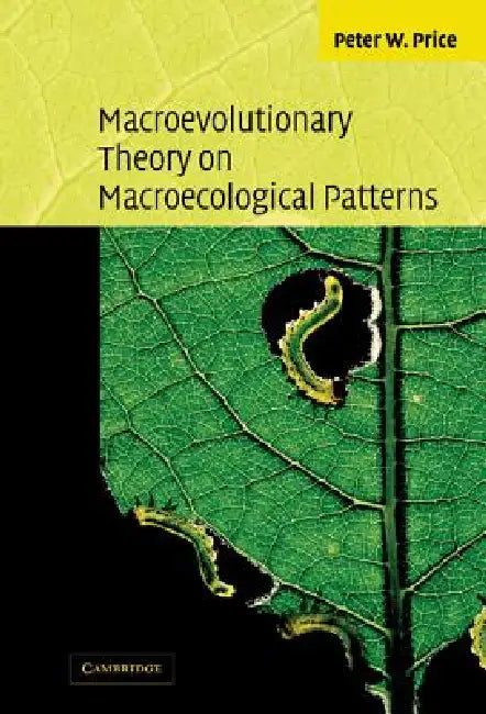 Macroevolutionary Theory on Macroecological Patterns by Peter Price, Peter W. Price, Price Peter W.