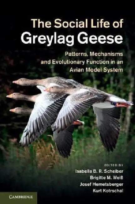 The Social Life of Greylag Geese: Patterns, Mechanisms and Evolutionary Function in an Avian Model System by Isabella B. R. Scheiber, Brigitte M. Weiß, Josef Hemetsberger