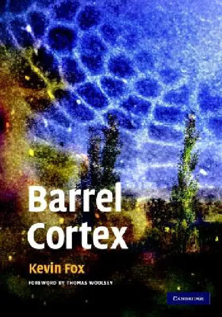 Barrel Cortex by Kevin Fox