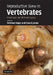 Reproductive Skew in Vertebrates: Proximate and Ultimate Causes by Reinmar Hager, Clara B. Jones