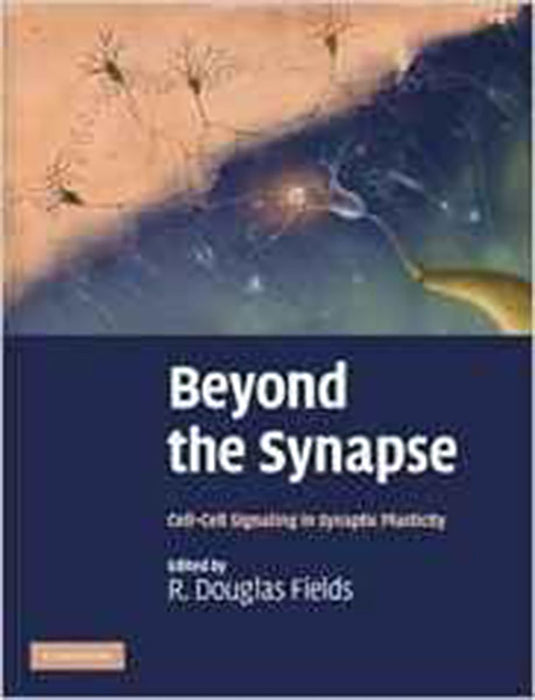 Beyond The Synapse: Cell-Cell Signaling in Synaptic Plasticity