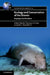 Ecology and Conservation of the Sirenia: Dugongs and Manatees by Helene Marsh, Thomas J. O'Shea, John E. Reynolds III