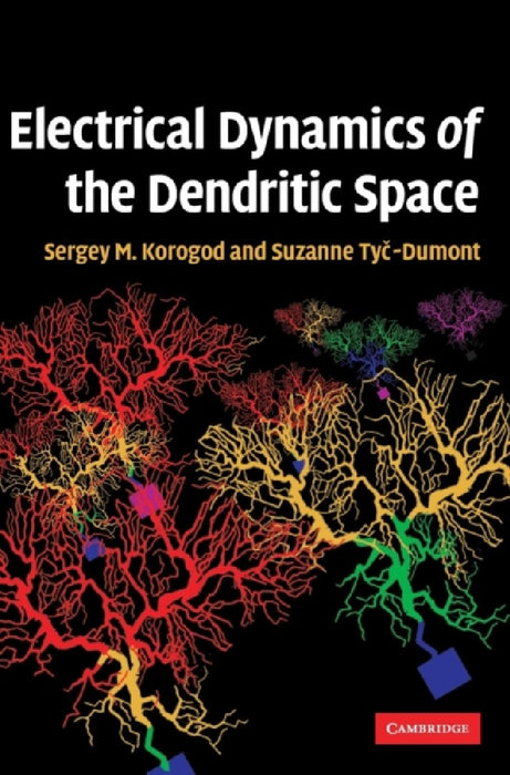 Electrical Dynamics Of The Dendritic Space