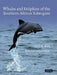 Whales and Dolphins of the Southern African Subregion by Peter B. Best, Isabelle Ansorge, Johann Lutjeharms