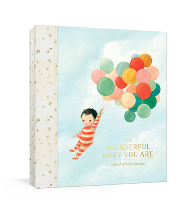 The Wonderful Baby You Are: A Record of Baby's First Year by Emily Winfield Martin