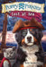 Puppy Pirates #7: Lost at Sea by Erin Soderberg