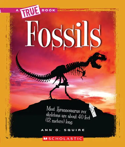 Fossils by Ann O. Squire