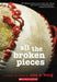 All the Broken Pieces by Ann E. Burg