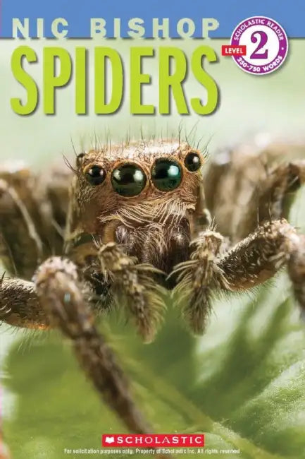Spiders by Nic Bishop