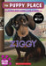 Ziggy by Ellen Miles