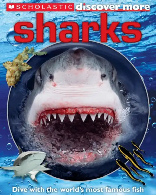 Scholastic Discover More: Sharks by David Burnie